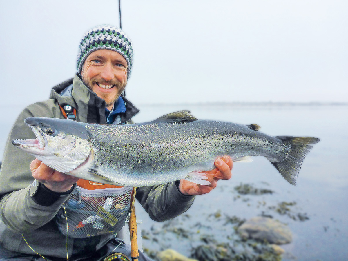 Die Meerforelle – Zielfisch Nummer eins vieler Küstenangler in Dänemark. Foto: J. Radtke