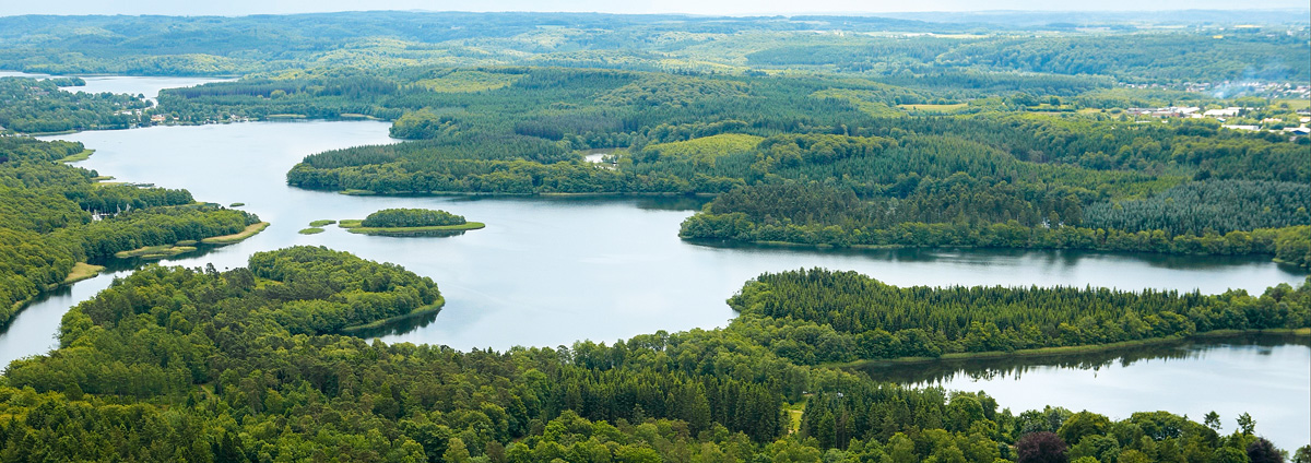 Die Silkeborger Seen sind ein Anglerparadies. Foto: Visit Silkeborg