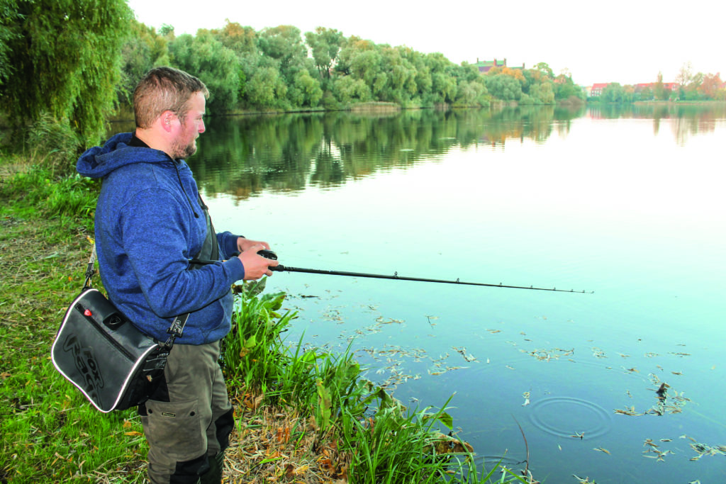 Swimbaits sind super Köder zum Hechtangeln im Flachwasser