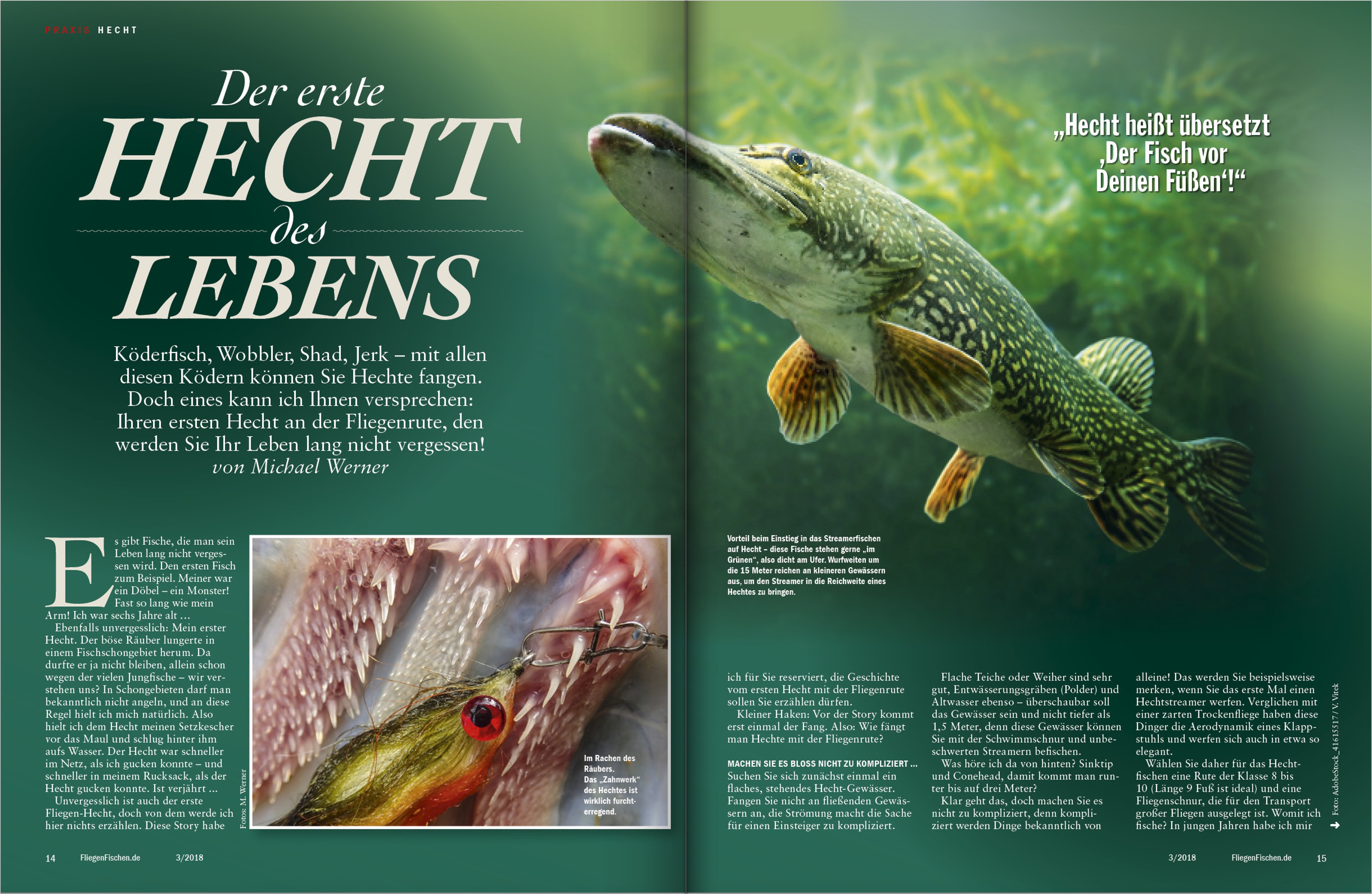Mehr zum Thema "Fliegenfischen auf Hecht" lesen Sie in FliegenFischen, Ausgabe 3-2018. Insgesamt 22 Seiten mit Tipps, Tricks und Revieren finden Sie in dieser Ausgabe!