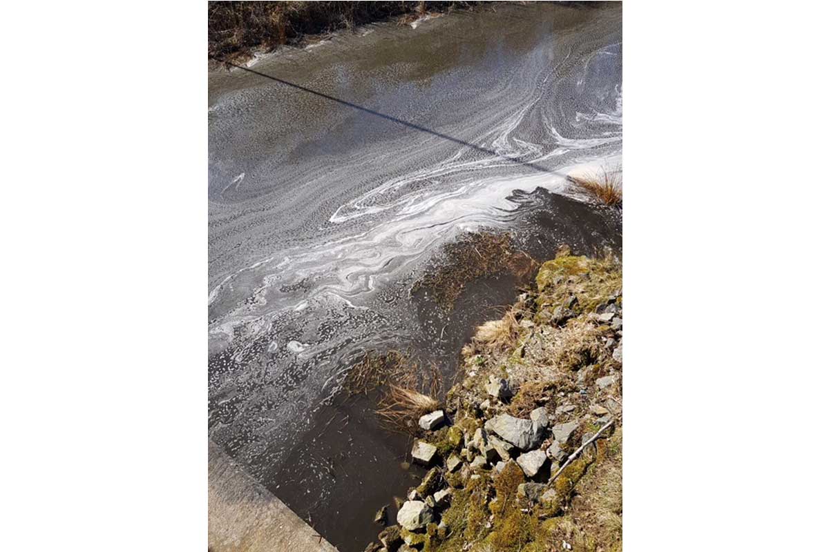 Sonst ist das Wasser in der Wipper glasklar. Nach dem Leck in der Biogasanlage hat sich der Anblick deutlich verändert. Foto: privat