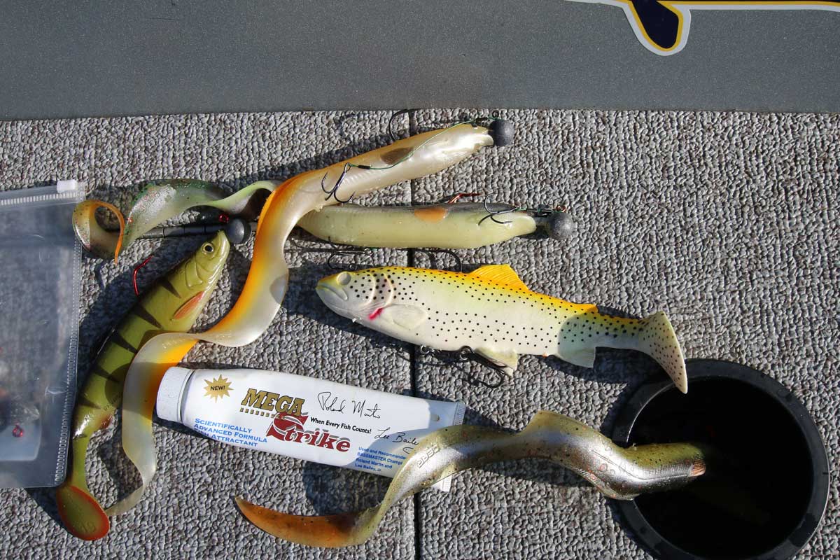 Beim Angeln im Bodensee sollten die Köder etwas größer sein, damit die Fische sie in der großen Wassermasse finden können. Foto: Blinker/F.Pippardt