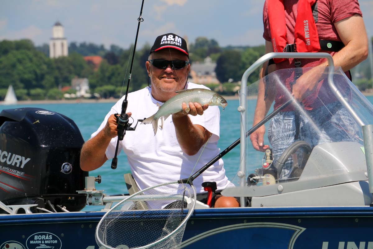 Dieter mit einem schönen Felchen, das er beim Angeln im Bodensee fangen konnte. Foto: Blinker/F.Pippardt