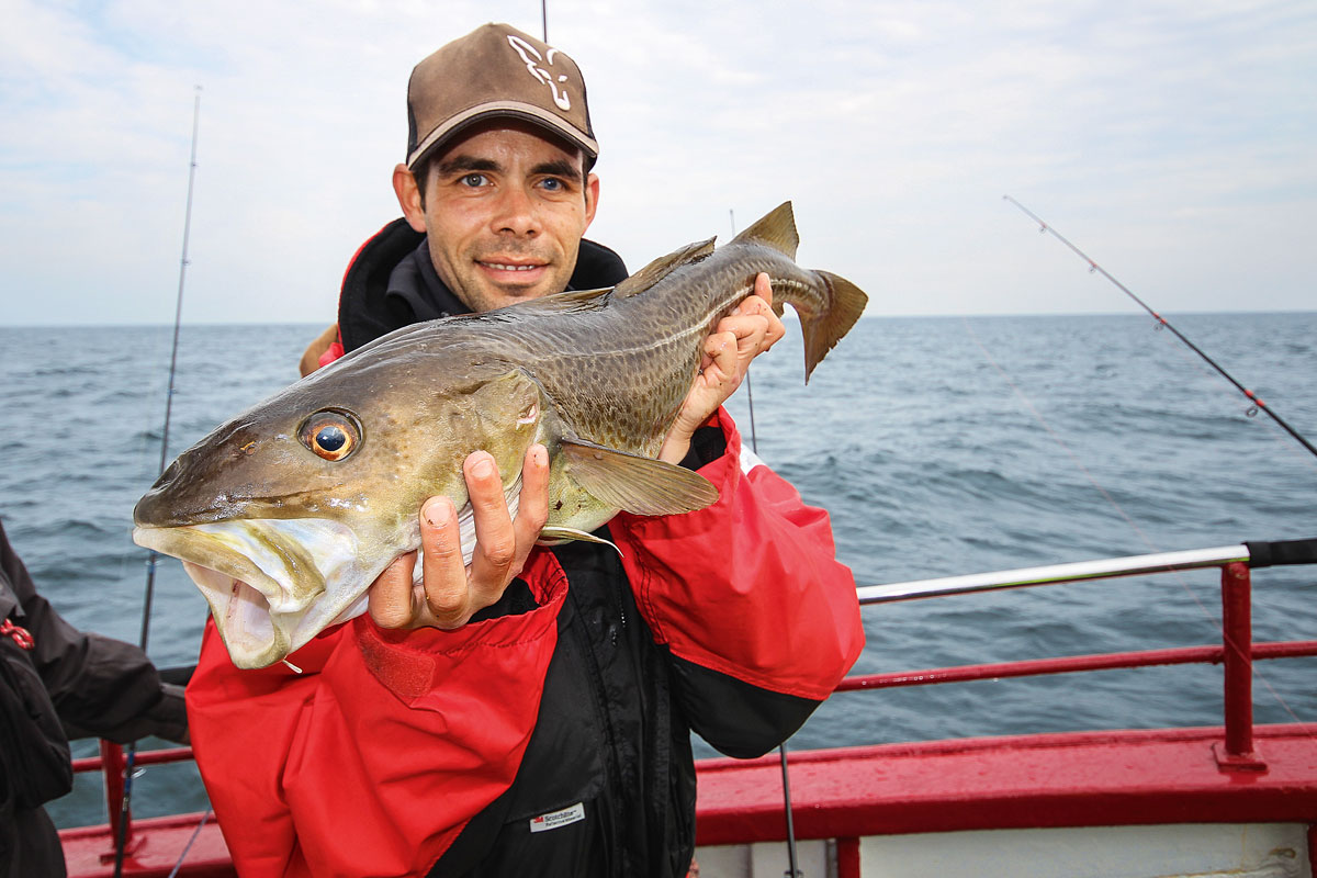 Angeltouren mit dem Kutter oder dem Leihboot können rund um Fehmarn sehr erfolgreich sein! Foto: Blinker/Lars Berding