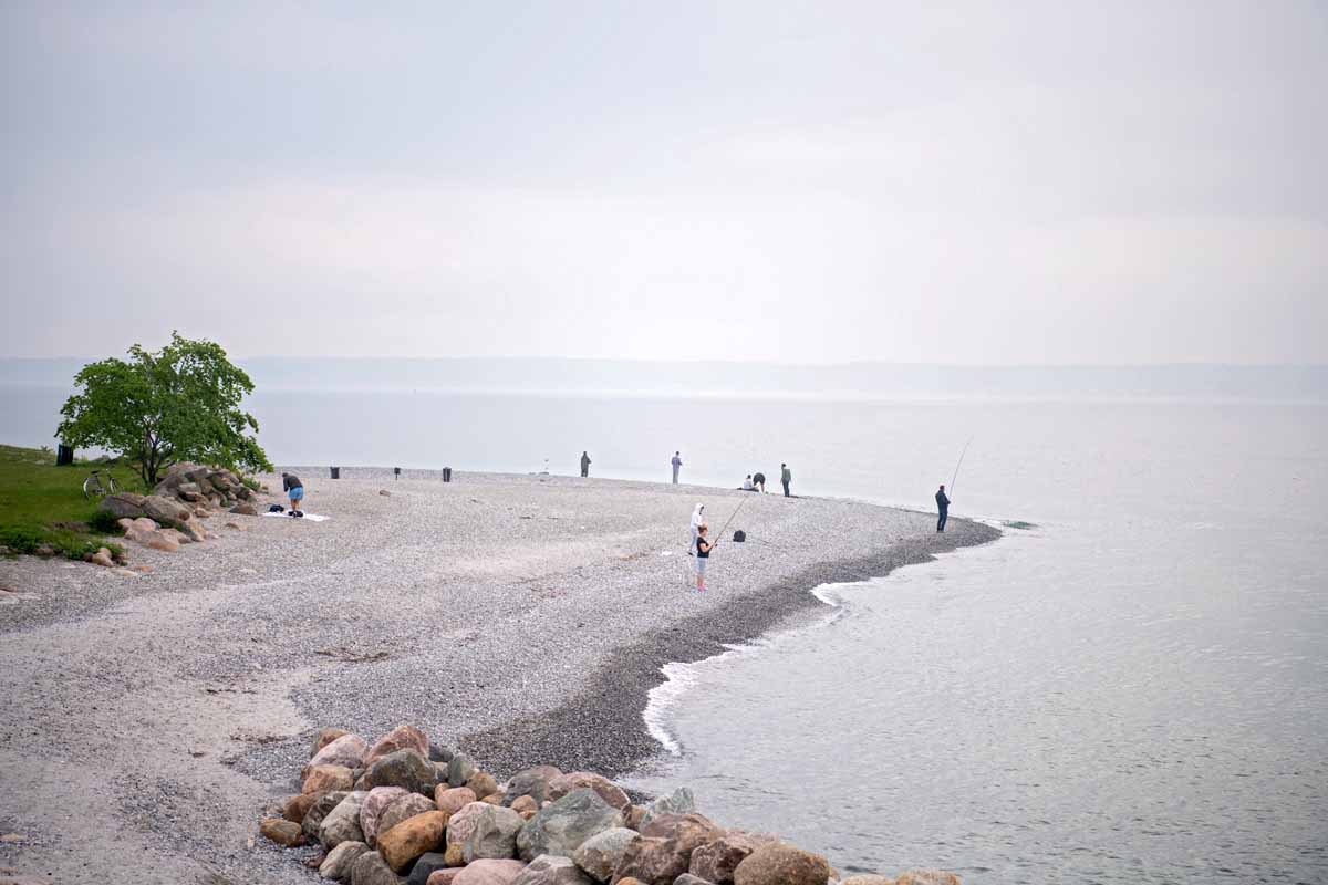 Die Küste von Nordseeland bietet fantastische Angelmöglichkeiten. Foto: T. Uffelmann