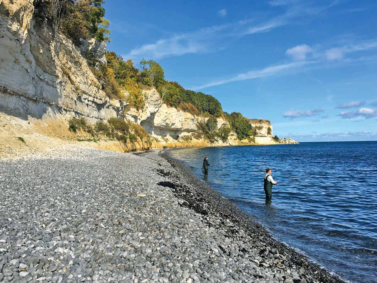 Stevns Klint – einer der Hotspots für Meerforellen. Foto: VISM
