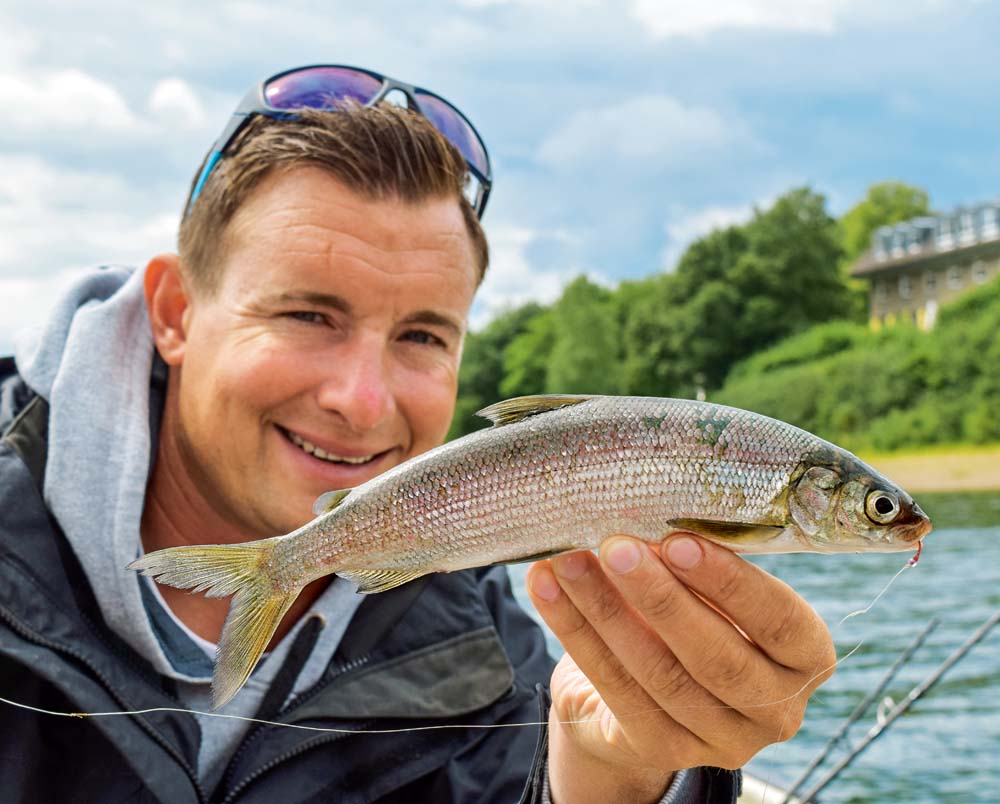 Renkenangler haben auf dem Sorpesee gut lachen. Die Fangchancen auf die Silberlinge stehen das ganze Jahr über gut.