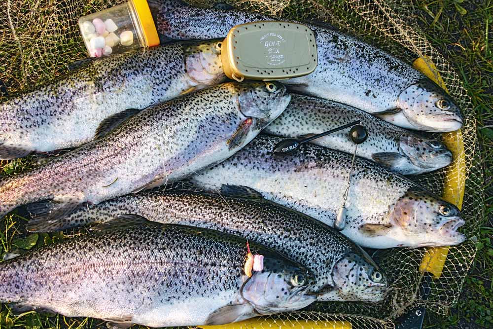 Forellen sind in der Tiefe großer Seen schwierig zu erreichen. Michael Kahlstadt setzt die Lifter-Montage ein und kann damit die Wasserschicht finden, in der sich die Fische am liebsten aufhalten.