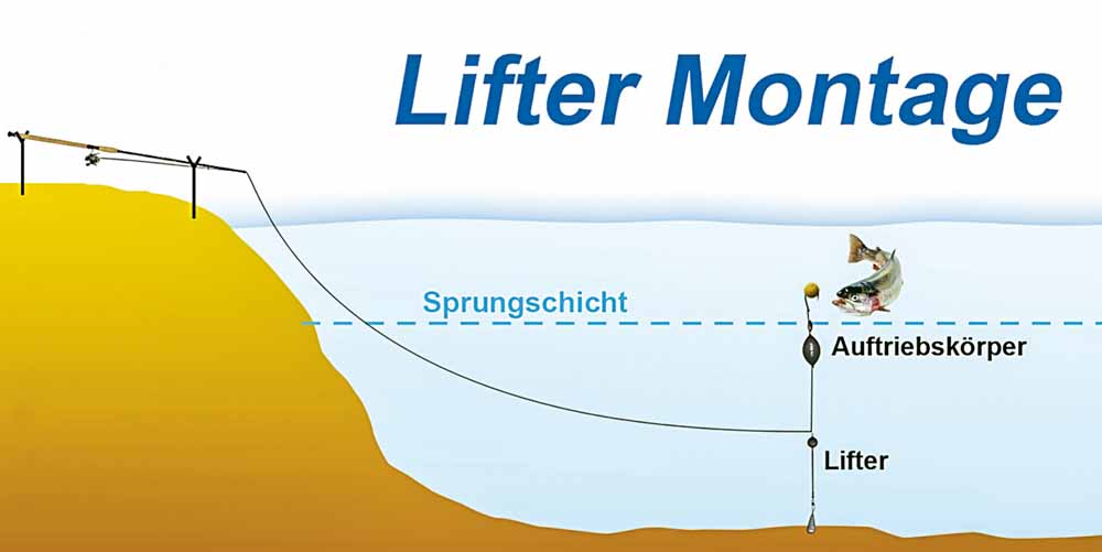 Das „Stehaufmännchen“ läuft auf der Hauptschnur, und an ihm wird das Bodenblei befestigt.