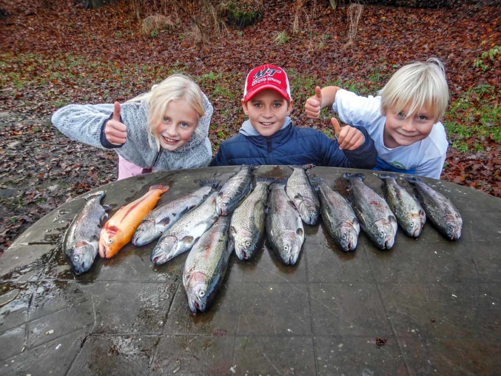 Nach rund 3 Stunden sind es für die Kinder am Angelsee 13 Forellen geworden – sogar eine Goldforelle ist dabei! Foto: F. Schlichting