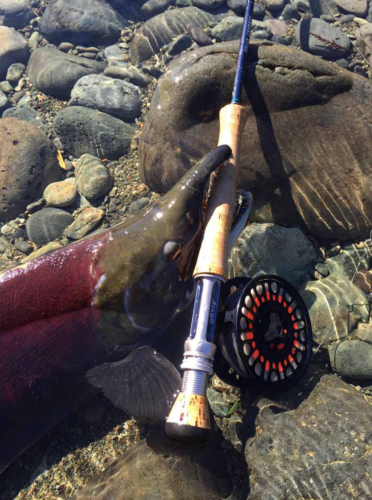 Die PEUX Speedline ist jedem Fisch gewachsen: Durch die ebenso hochwertige wie ausgeklügelte Bremse bleibt ihr stets Meister im Drill. Foto. PEUX Flyfishing