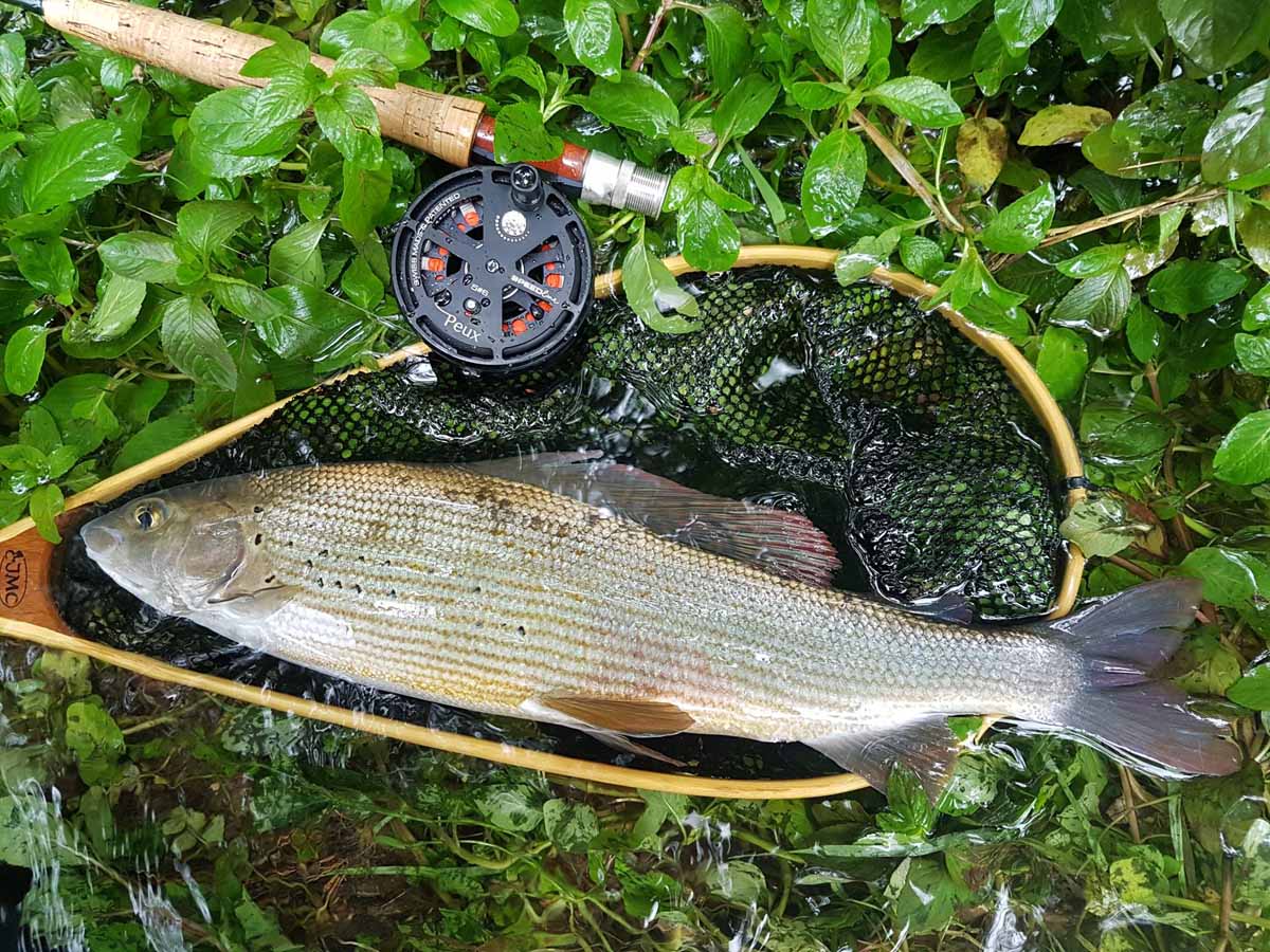 Für jeden Zielfisch gibt es das richtige Modell der PEUX Speedline. Fünf Größen sind verfügbar. Foto: PEUX Flyfishing