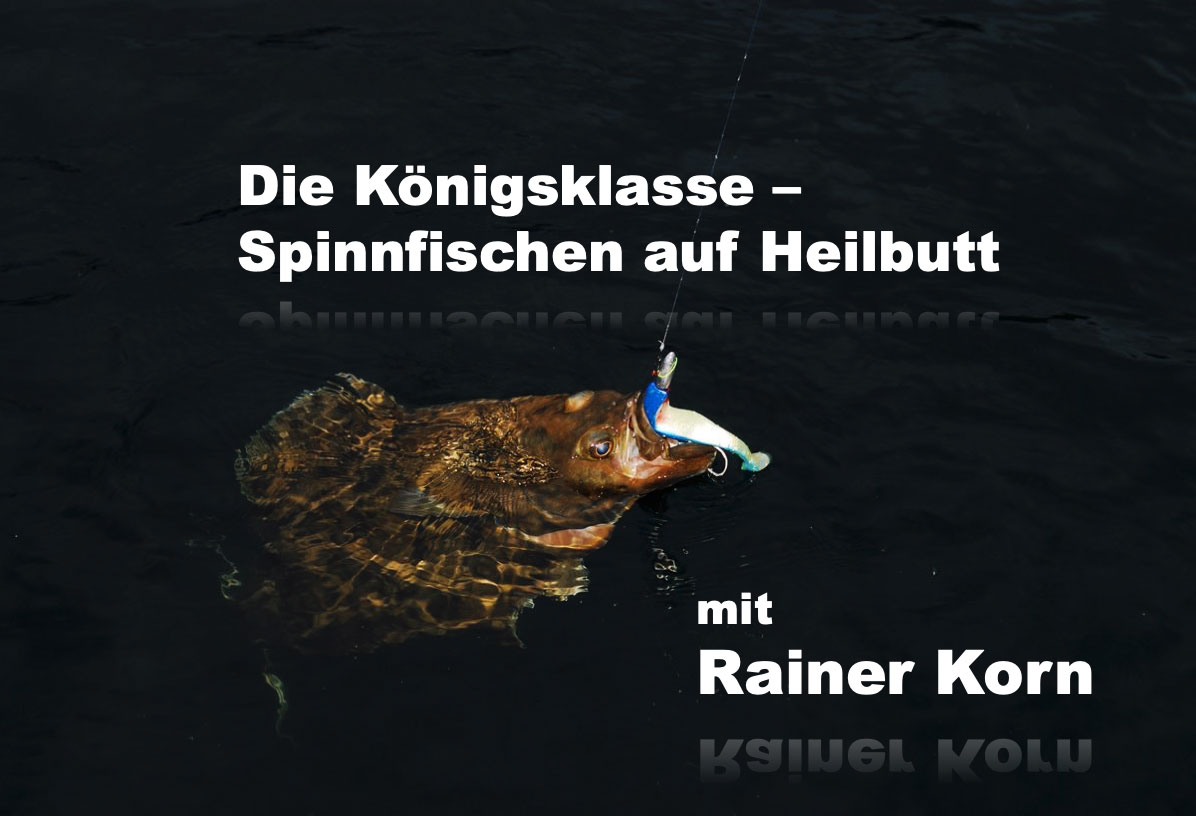 Hier geht es zur Anmeldung für das Webinar „Die Königsklasse: Spinnfischen auf Heilbutt“ – ein Online-Kurs für alle Meeresangler, die es auf die kampfstarken Riesen abgesehen haben!
