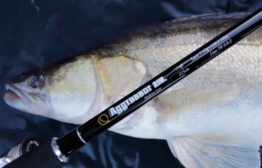 Zander, gefangen mit der Quantum Vapor Aggressor beim Testfischen an der Elbe. Die Bisserkennung über den Blank ist übrigens hervorragend!