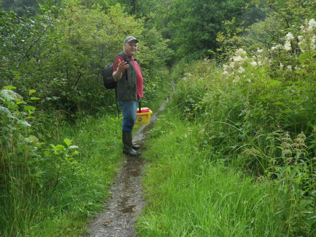 So sah das Angeln am Wochenende für Thomas Pruß aus. Pilzsuche statt Fisch: Ein „Waldspaziergang“ der extrem nassen Art. Aber so etwas ist im Sommer echt erfrischend. Foto: T. Pruß