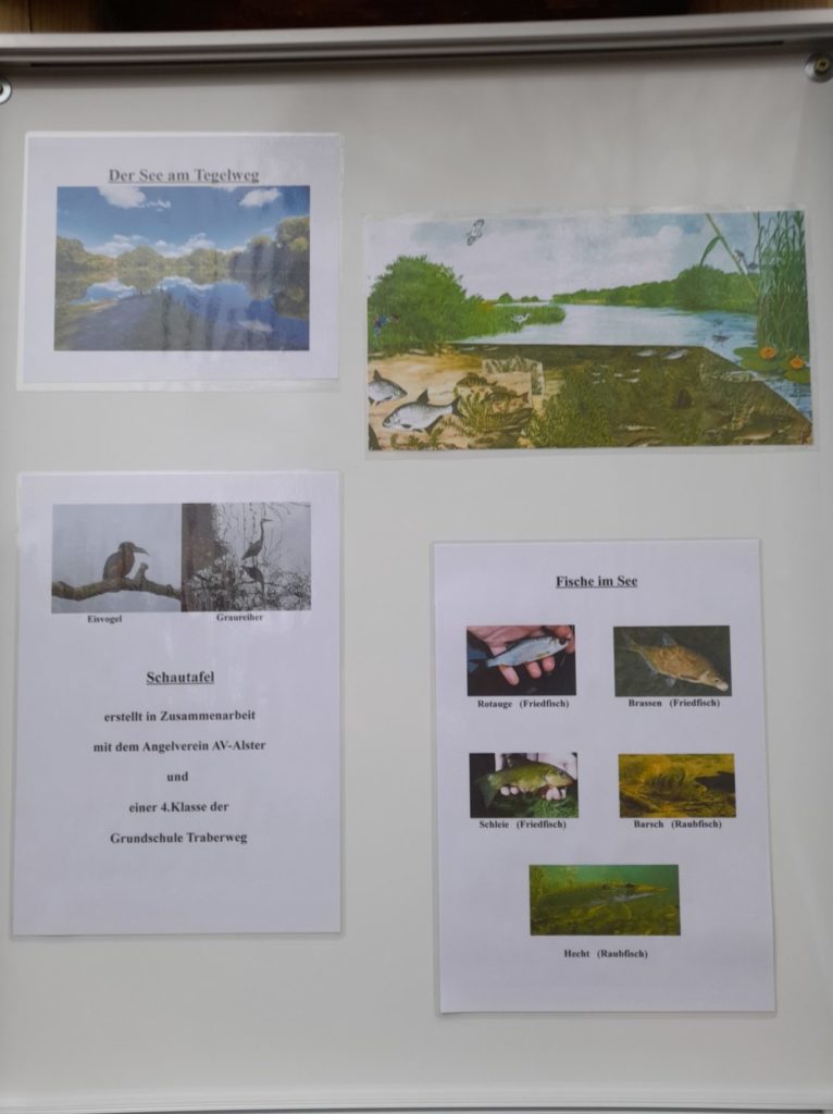 Der Schaukasten vermittelt Jung und Alt die Tierwelt des Tegelsees in Hamburg. Foto: R. Kanstorf