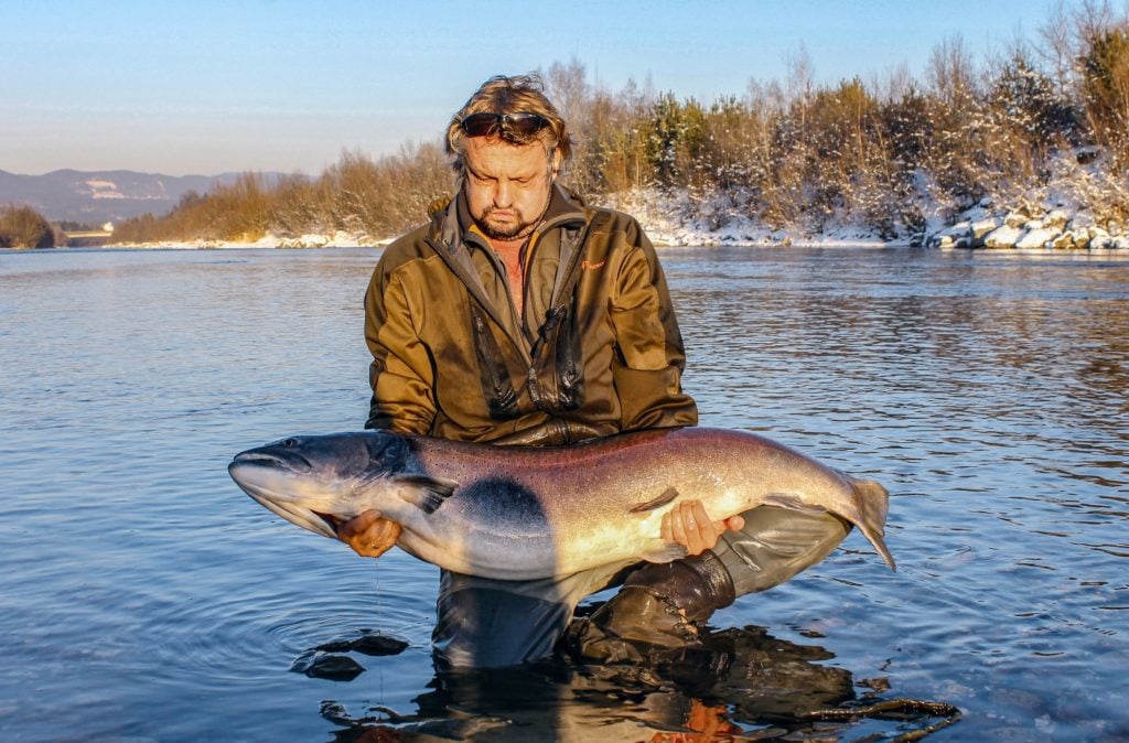 Wer so einen riesigen Huchen fangen darf, der hat wohl den Fisch seines Lebens in den Händen. Foto: W. Malle