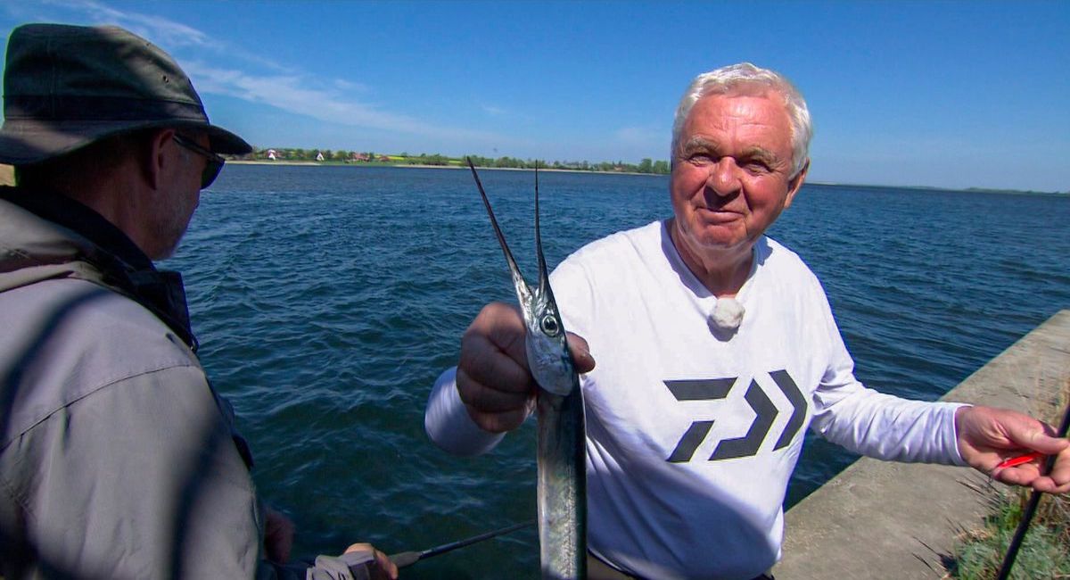 Ein „Ostsee-Marlin“ hat gebissen. NDR Angelreporter Horst Hennings freut sich über den großen Hornhecht.