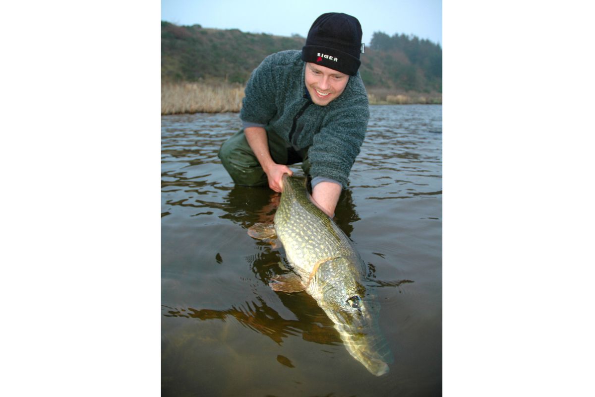 Angler setzt kapitalen Hecht zurück