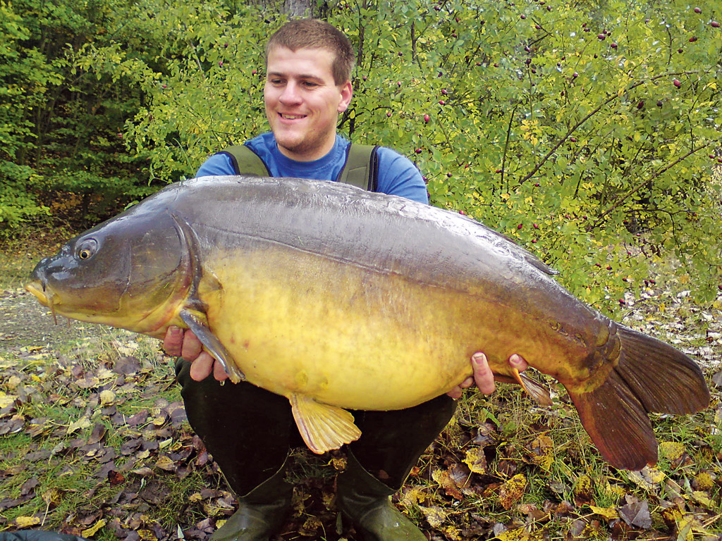 Karpfen-Experte Gregor Bradler mit einem dicken Spiegelkarpfen, den er auch selbst gemachte Boilies fangen konnte. Foto: G. Bradler