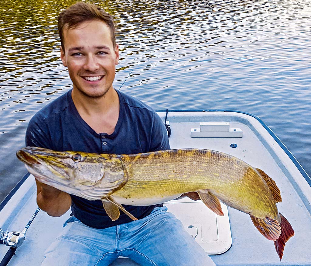 Hechte fühlen sich ebenfalls wohl. Kevin Reisinger fing diesen 107 Zentmeter langen Esox. Foto: BLINKER/V. Wilde