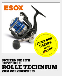 ES_16_07_Aboanzeige_blinker.de_318x386px_2