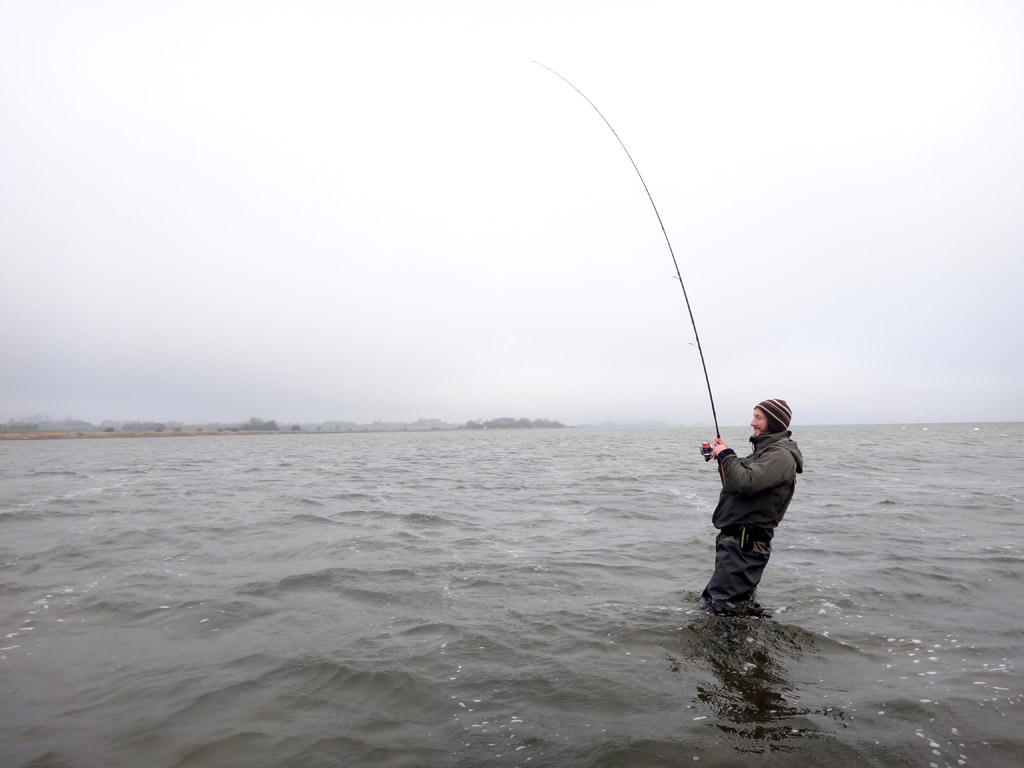 Wer zum Angeln an die Bodden fährt, sollte unbedingt darauf achten, dass er das richtige Tackle für Großfische im Gepäck hat. Sonst sind Verluste vorprogrammiert. Foto: BLINKER/F. Schlichting