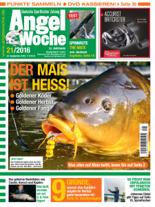 Titel AngelWoche 21-2016
