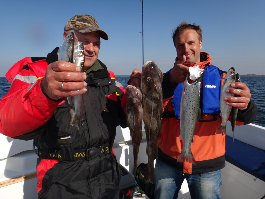 Dorsch, Hering und Meerforelle: So kann ein Tag beim Meeresangeln vom Boot aussehen.