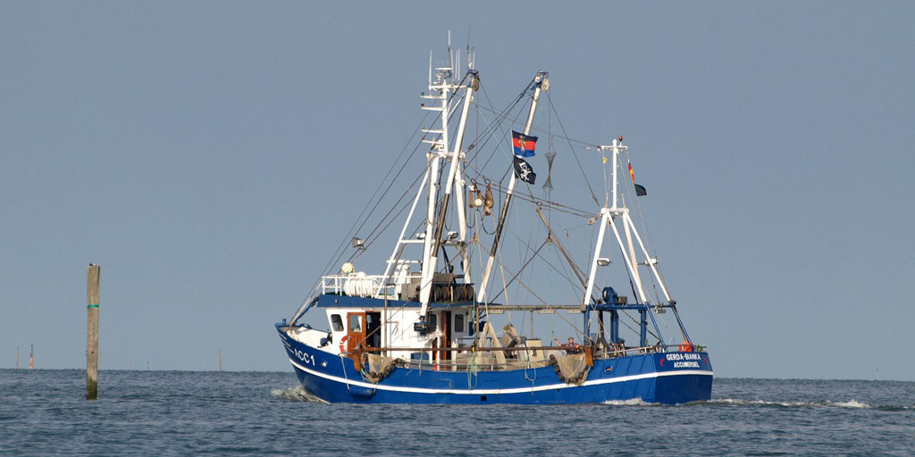 Dorsch-Fangquote Ausnahmeregelung: Wenn es nach der SPD-Europaabgeordneten Ulrike Rodust geht, dürfen bald Fischkutter in der Dorsch-Laichzeit im flachen Wasser ihre Netze auslegen. Foto: pb