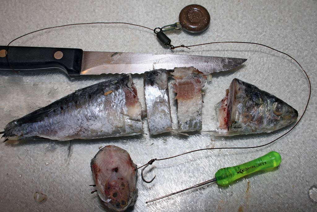 Eine gefrorene Sardine wird in Stücke geschnitten und eines davon am Haar angeködert. Die gefrosteten Fischstücke lassen sich gut werfen, der freie Haken fasst sicher im Zandermaul. Foto: BLINKER/D. Charman