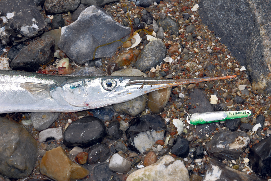 Ein kurzes Stück 0,30er Monofil zwischen Drilling und Blinker erhöht den Fangerfolg enorm. Es gibt weniger Fehlbisse und der Fisch kann sich nicht sich aushebeln. Foto: BLINKER/S. Rose