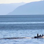Im ganzen Vadheimsfjord kann man wunderbar auf zahlreiche Fische angeln. Foto: Borks