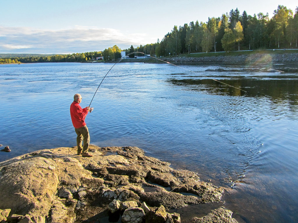 Wenn sich das Wasser im Frühjahr erwärmt, haben Angler in Schweden gute Chancen auf Meerforellen. Foto: BLINKER/S. Rose