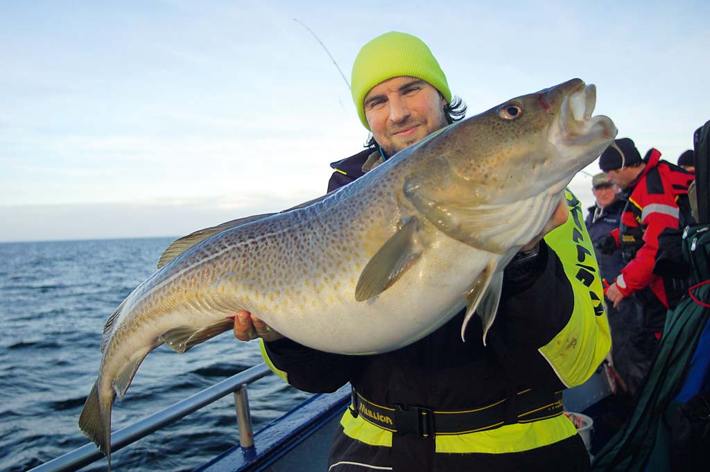 Kapitale Dorsche vom Kutter sind mit der richtigen Taktik und einem hervorragenden Fischbestand jederzeit möglich. Foto: BLINKER/S. Rose