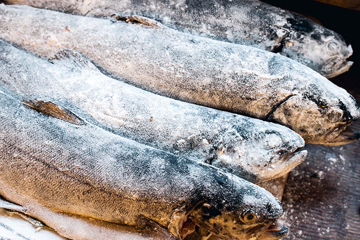 Die Fische nur einmal kurz in Mehl wenden, abklopfen und in Butter oder Öl (je nach Geschmack) braten. Foto: Artur Jagiello