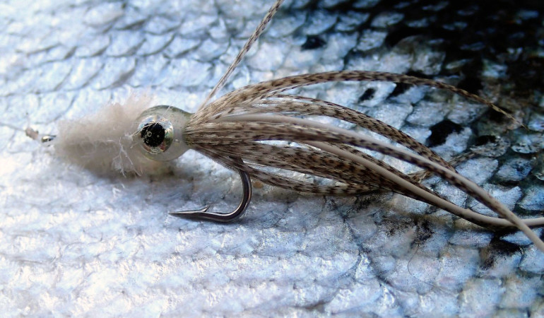 Auch ein Kalmar (Tintenfisch) lässt sich als Fliege binden. "Locktopussys" heisst dieses Exemplar, dass auf einer 4,7 Kilogramm schweren Meerforelle liegt. Foto: M. Werner