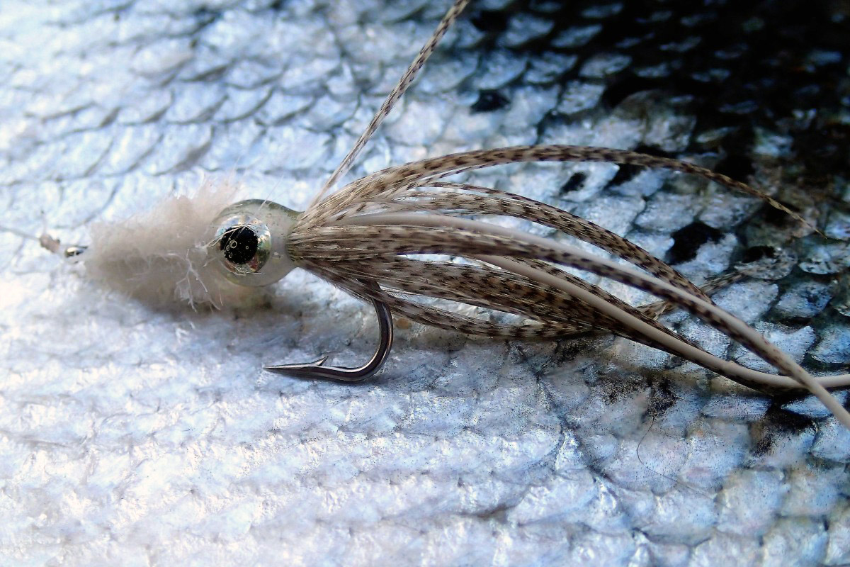 Auch ein Kalmar (Tintenfisch) lässt sich als Fliege binden. "Locktopussys" heisst dieses Exemplar, dass auf einer 4,7 Kilogramm schweren Meerforelle liegt. Foto: M. Werner