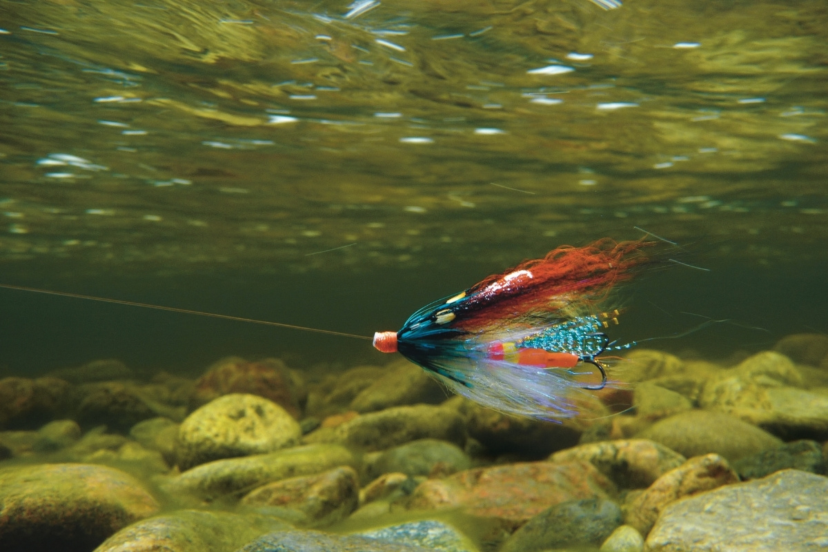 Lachsfliege unter Wasser