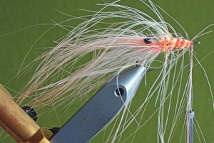Pattegrisen 6