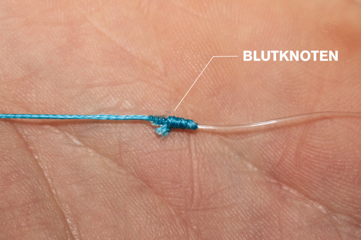 Mit dem Mit dem Blutknoten können zwei Schnüre mit gleichem oder ähnlichem Durchmesser verbunden werden. Foto: BLINKER/ M. Wiebeck
