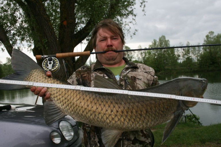 Gegrillter Graskarpfen