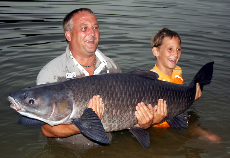 Gigantischer Amur aus dem Anglerparadies BLINKER