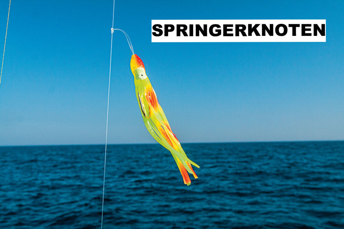 Springerknoten