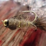 Fliegen Einsteiger Fliegenfischen