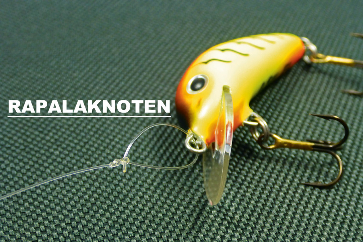 Rapala-Knoten