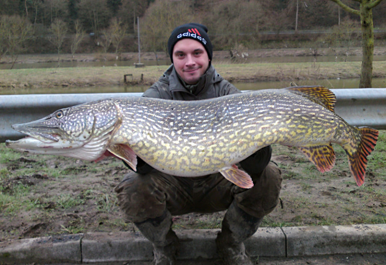 Monster-Hecht aus der Fulda - BLINKER