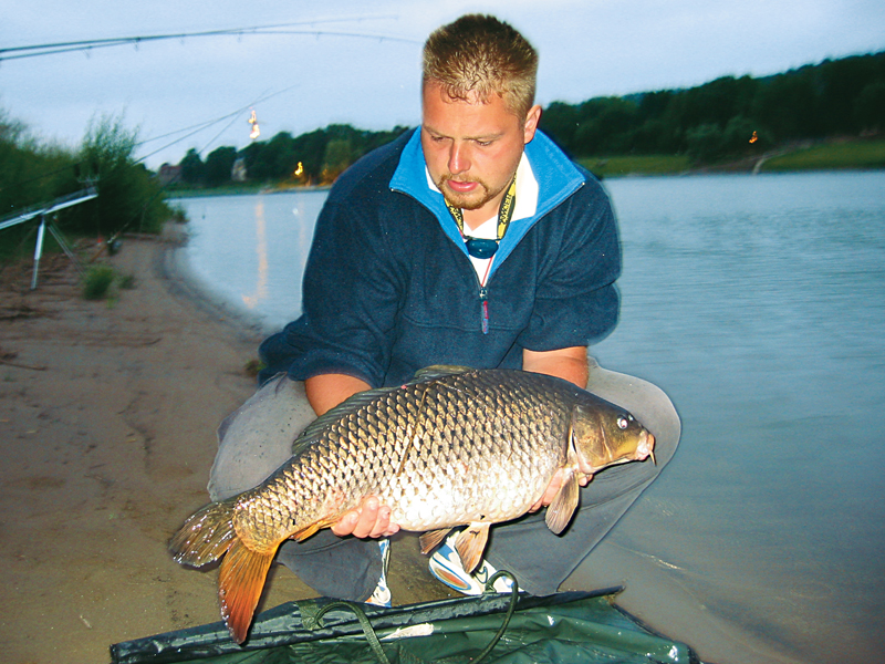 Die Elbe Fantastisches RaubfischRevier BLINKER