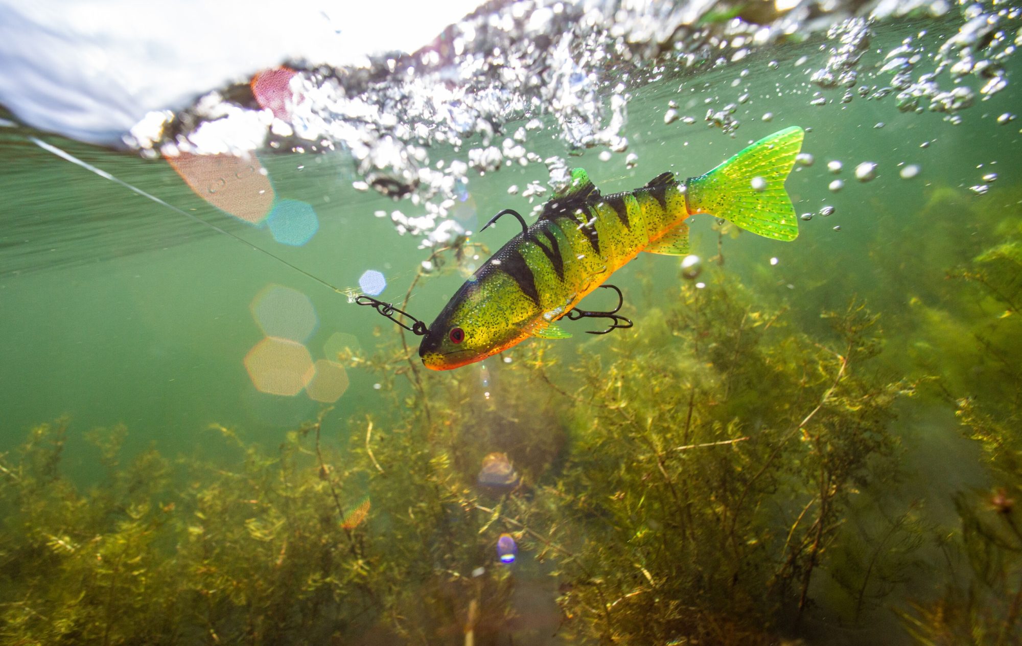 Swimbait UW Hecht