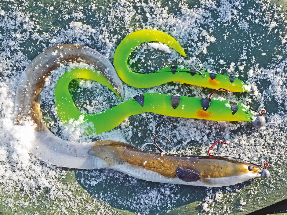 Tackle-Test: Real Eel von Savage Gear - BLINKER